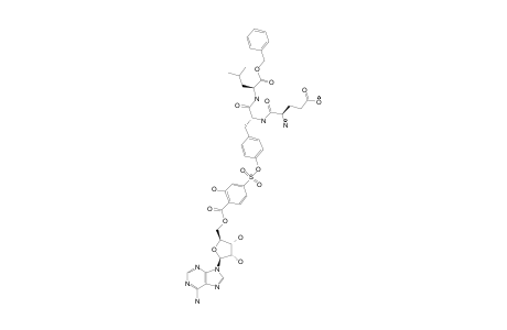 H-GLU-TYR-[SO2C6H3(3-OH)[4-(CO-A)]]-LEU-OBZL