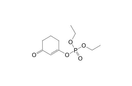 Phosphoric acid, diethyl 3-oxo-1-cyclohexen-1-yl ester