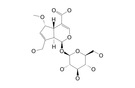 9-EPI-6-ALPHA-METHOXY-GENIPOSIDIC-ACID