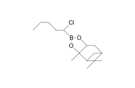 (S)-Pinanediol (1S)-(1-chloro-pentyl) boronate