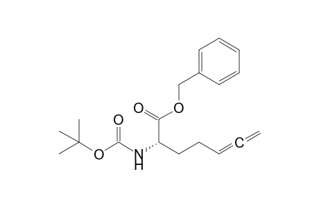 Benzyl (2S)-2-(tert-Butoxycarbonylamino)hept-5,6-dienoate