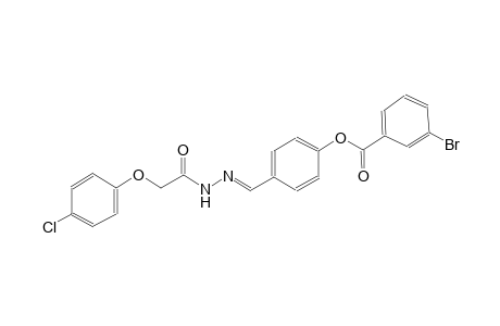 benzoic acid, 3-bromo-, 4-[(E)-[2-[2-(4-chlorophenoxy)acetyl]hydrazono]methyl]phenyl ester
