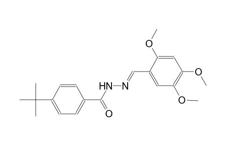 4-tert-butyl-N'-[(E)-(2,4,5-trimethoxyphenyl)methylidene]benzohydrazide