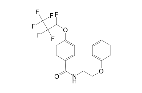 Benzamide, 4-(1,2,2,3,3,3-hexafluoropropoxy)-N-(2-phenoxyethyl)-
