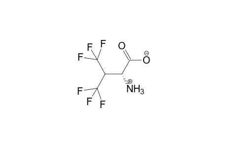 Hexafluorovaline