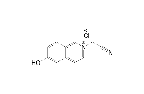 2-(Cyanomethyl)-6-hydroxyisoquinolinium chloride