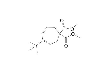 1,1-bis(Methoxycarbonyl)-4-(t-butyl)-cyclohepta-3,5-diene