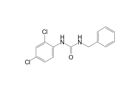 1-benzyl-3-(2,4-dichlorophenyl)urea