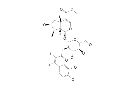 2'-CAFFEOYL-LOGANIN (cis)