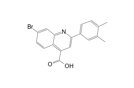 7-bromo-2-(3,4-dimethylphenyl)-4-quinolinecarboxylic acid
