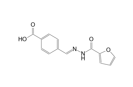 2-furancarboxylic acid, 2-[(E)-(4-carboxyphenyl)methylidene]hydrazide