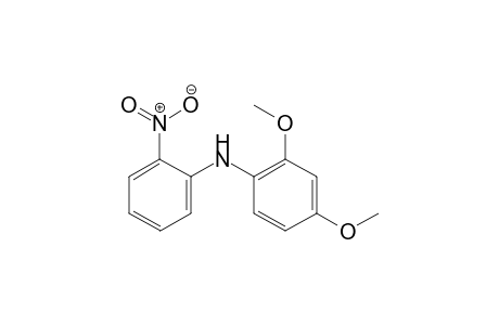2,4-dimethoxy-N-(2-nitrophenyl)aniline