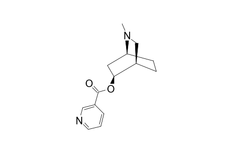 5-SYN-(3-PYRIDINOYLOXY)-2-METHYL-2-AZABICYClO-[2.2.2]-OCTANE