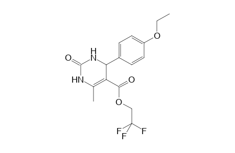 2,2,2-Trifluoroethyl 4-(4-ethoxyphenyl)-6-methyl-2-oxo-1,2,3,4-tetrahydro-5-pyrimidinecarboxylate