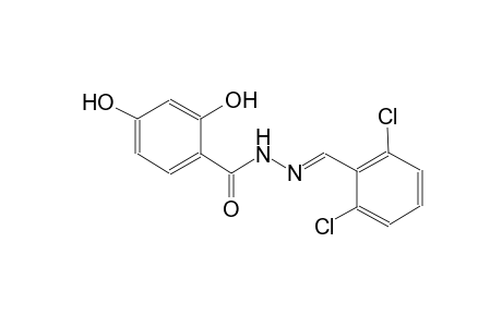 benzoic acid, 2,4-dihydroxy-, 2-[(E)-(2,6-dichlorophenyl)methylidene]hydrazide