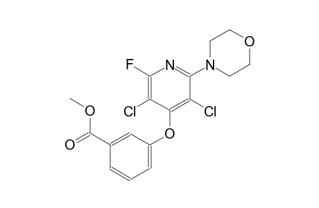 benzoic acid, 3-[[3,5-dichloro-2-fluoro-6-(4-morpholinyl)-4-pyridinyl]oxy]-, methyl ester