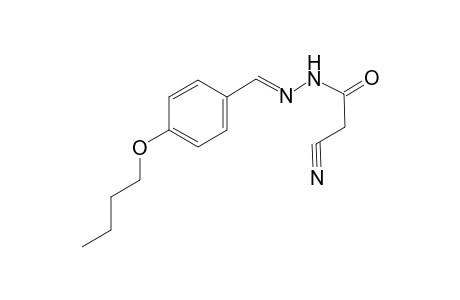 N'-[(E)-(4-Butoxyphenyl)methylidene]-2-cyanoacetohydrazide