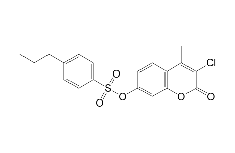 3-Chloro-4-methyl-2-oxo-2H-chromen-7-yl 4-propylbenzenesulfonate