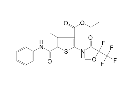 4-Methyl-5-(phenylcarbamoyl)-2-[(2,3,3,3-tetrafluoro-2-methoxy-propanoyl)amino]thiophene-3-carboxylic acid ethyl ester