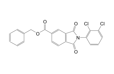 1H-isoindole-5-carboxylic acid, 2-(2,3-dichlorophenyl)-2,3-dihydro-1,3-dioxo-, phenylmethyl ester