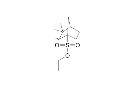 (1S)-Ethyl 7,7-dimethyl-2-methylene-1-bicyclo[2.2.1]heptanesulfonate