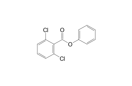2,6-dichlorobenzoic acid, phenyl ester