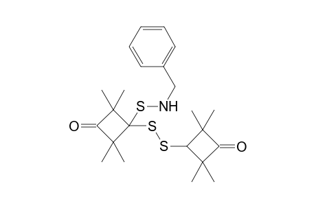 2,2,4,4-tetramethyl-3-oxo-N-(phenylmethyl)-1-[(2,2,4,4-tetramethyl-3-oxocyclobutyl)disulfanyl]-1-cyclobutanesulfenamide