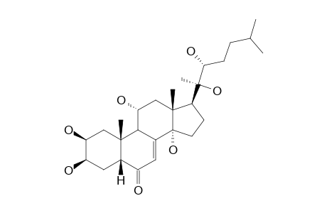 AJUGASTERONE-C