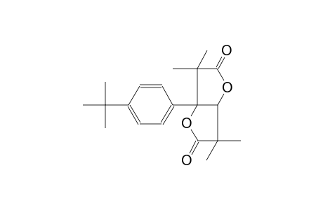 3a-(4-tert-Butyl-phenyl)-3,3,6,6-tetramethyl-tetrahydro-furo[3,2-b]furan-2,5-dione
