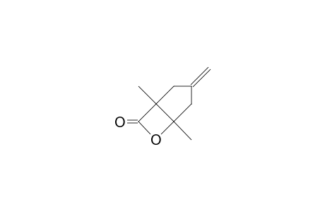 (1R,5S)-1,5-Dimethyl-3-methylene-6-oxa-bicyclo(3.2.0)heptan-7-one