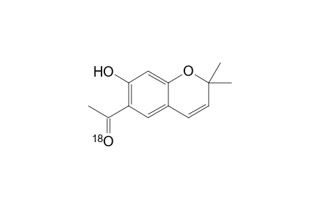 6-[18O]-acetyl-7-hydroxy-2,2-dimethylbenzopyran