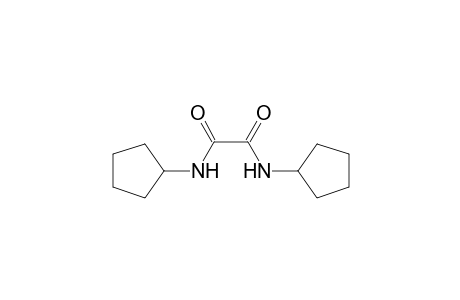 N,N'-Dicyclopentyloxalamide