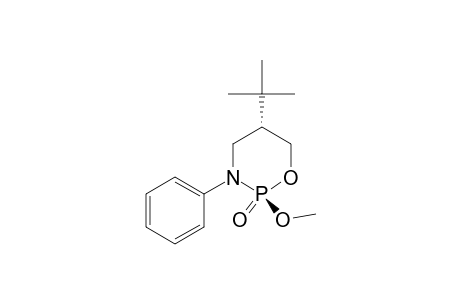 cis-2-Methoxy-2-oxo-3-phenyl-5-tert-butyl-1,3,2-oxazaphosphorinane