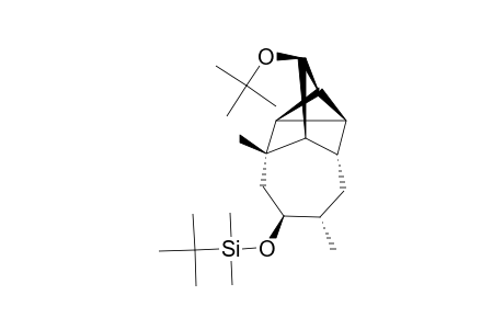 (1S*,2S*,3S*,4S*,5S*,6R*,7R*,9S*,10S*)-5-TERT.-BUTOXY-9-(TERT.-BUTYLDIMETHYLSILOXY)-7,10-DIMETHYLTETRACYCLO-[5.4.0.0-(2,4).0-(3,7)]-UNDECANE