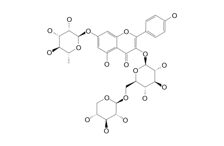 SACHALOSIDE-III;KAEMPFEROL-3-O-BETA-D-XYLOPYRANOSYL-(1->2)-BETA-D-GLUCOPYRANOSYL-7-O-ALPHA-L-RHAMNOPYRANOSIDE