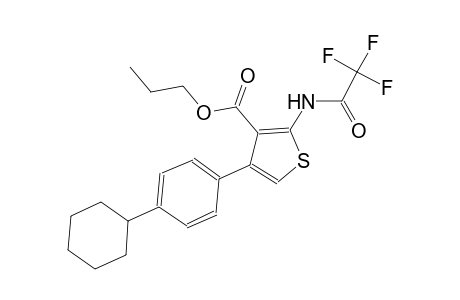 propyl 4-(4-cyclohexylphenyl)-2-[(trifluoroacetyl)amino]-3-thiophenecarboxylate
