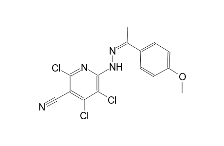 3-pyridinecarbonitrile, 2,4,5-trichloro-6-[(2Z)-2-[1-(4-methoxyphenyl)ethylidene]hydrazino]-
