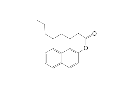 2-Naphthyl octanoate