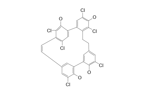 BAZZANIN-Q;2,10,12,6',10',14'-HEXACHLOROISOPLAGIOCHIN-C