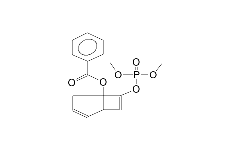 (5-BENZOYLOXYBICYCLO[3.2.0]HEPTA-3,6-DIEN-6-YL)DIMETHYLPHOSPHATE