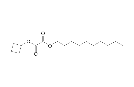 Oxalic acid, cyclobutyl decyl ester