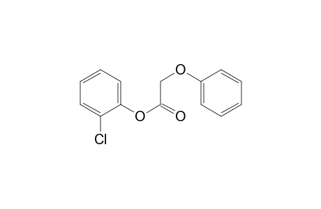 (2-chlorophenyl) 2-phenoxyacetate