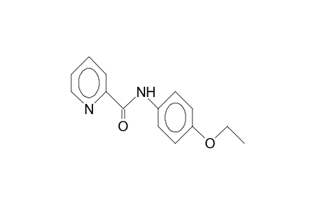 N-(4-Ethoxy-phenyl)-pyridine-4-carboxamide