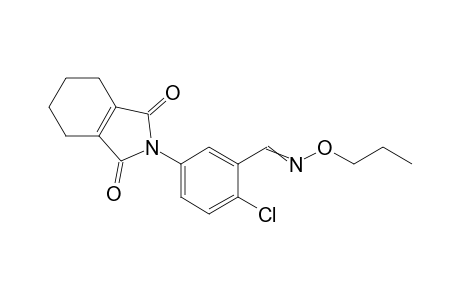 Benzaldehyde, 2-chloro-5-(1,3,4,5,6,7-hexahydro-1,3-dioxo-2H-isoindol-2-yl)-, O-propyloxime