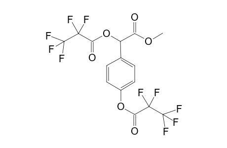 Methyl ester, bis(pentafluoropropionyl) ether derivative of p-hydroxy mandelic acid