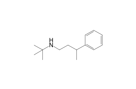 tert-Butyl(3-phenylbutyl)amine