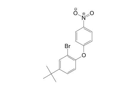 Benzene, 1-bromo-5-(1,1-dimethylethyl)-2-(4-nitrophenoxy)-