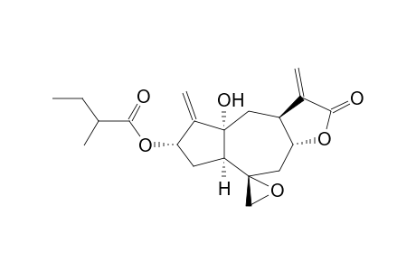 3-DEACETYL-ARCTOLIDE-3-(2-METHYLBUTENOATE), FROM ARCTOTIS GRANDIS