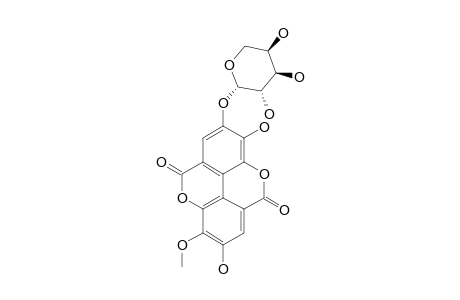 3-O-METHYL-ELLAGIC-ACID-4'-O-BETA-D-ARABINOPYRANOSIDE