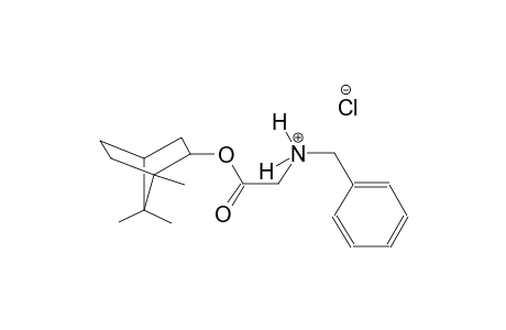 benzenemethanaminium, N-[2-oxo-2-[(1,7,7-trimethylbicyclo[2.2.1]hept-2-yl)oxy]ethyl]-, chloride